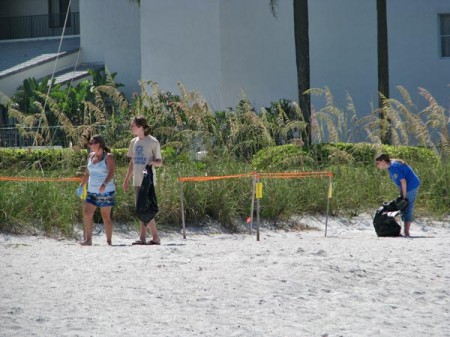 Surfrider Foundation members picking up litter on Upham Beach.