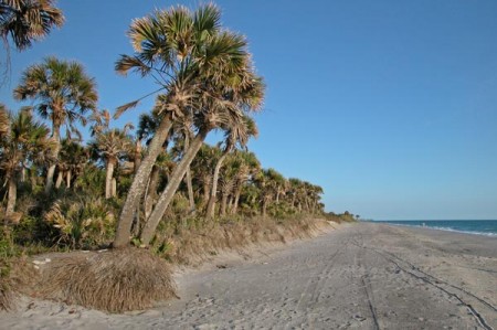 Caspersen Beach takes you back in time.