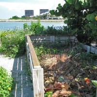 Upham Beach Litter Problem Composting is part of gardening by the beach at Upham.