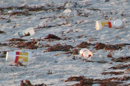 img_3154 Fast food containers litter the beach at Upham.