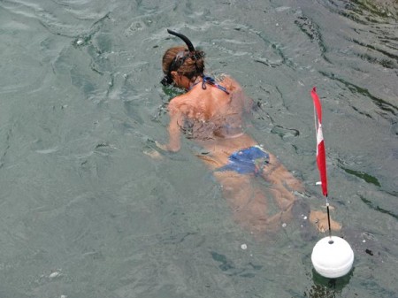 Snorkeling is a very popular and worthwhile activity at Sebastian Inlet State Park.