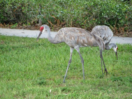 img_4581-web-800x600