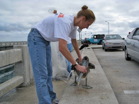Heather, a bird rescue volunteer from Sarasota, helps Liz with a Pelican.