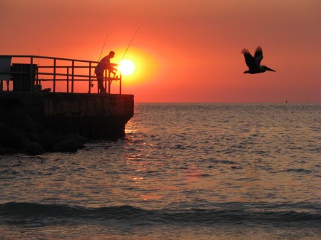 Nothing says "Florida Gulf Coast" like a jetty, a sunset, and a pelican.