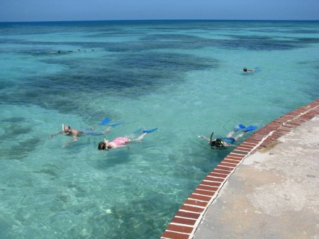 A great day of snorkeling at Fort Jefferson, Dry Tortugas National Park.