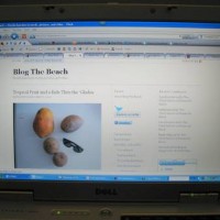 Blogging from a hotel room? Only if you can get a wifi signal.