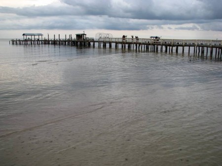 This is the dock I was standing on when I took the photo of the stingray. It's the Captain Con's Restaurant dock in Bokeelia.