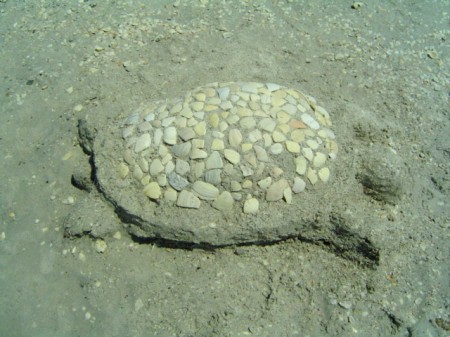 It's turtle nesting season again. Here's a sand turtle on Don Pedro Island--another creation of Sandy's kids.