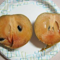 A large sapodilla, from the Homestead area, sliced in half. It was really good!