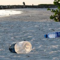 Trash on the beach. Clean it up!