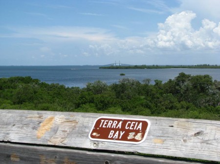 IMG_4477 View of Terra Ceia Bay from the lookout tower at Emerson Point Preserve.