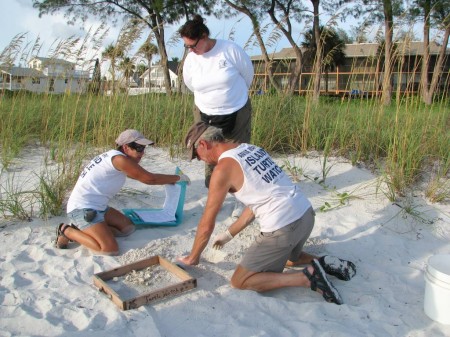IMG_4516 Suzi Fox looks on as Ed and Betsy excavate a loggerhead turtle nest and carefully record what they count and observe.