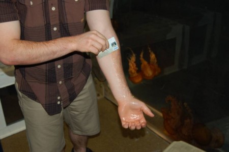 DSC_3633 Using a credit card to scrape off the Stingmate gel and any remaining jellyfish tentacles. Notice that there are no red sting marks on the arm where the subject was stung. That's good.