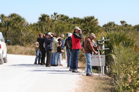 begbirdF222131 Beginning birders honing their identification skills in the field at the 2009 Space Coast Birding and Wildlife Festival in Titusville, Florida.