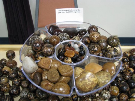 Polished sea-beans are beautiful like gemstones.