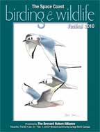 The full-color, 48 page program catalog for the 13th Annual Space Coast Birding & Wildlife Festival is now available.
