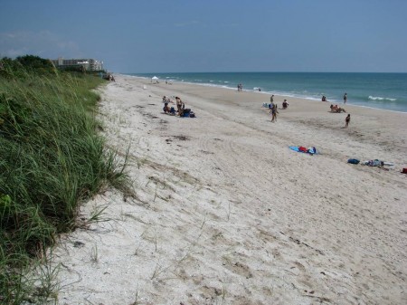 Indialantic Beach attracts more than surfers and sun-worshippers. Sea turtles by the thousands visit these beaches during the summer months to lay eggs.