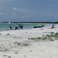 Cayo Costa's beautiful crescent-shaped beach, looking north.