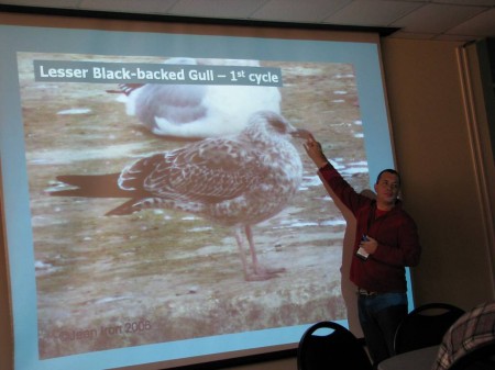 IMG_6812 Alvaro Jaramillo introduces the basics of gull identification.