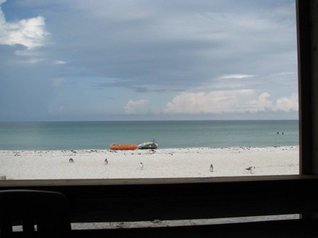 IMG_4764 Gulf Drive Cafe. I didn't even have to get up from my chair to snap this photo of the Gulf.