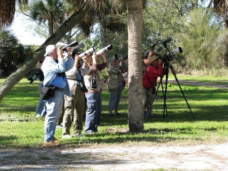birding photographers at Fort Desoto Park
