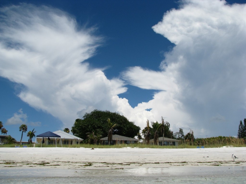 August on Anna Maria Island: Green Water, White Sand | Blog The Beach