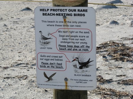 image: beach bird nesting educational signage