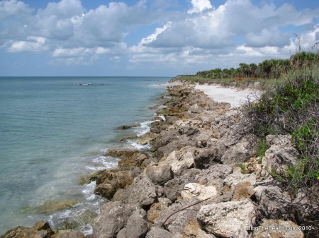 IMG_8999 image: beach erosion on caspersen beach in Venice, FL