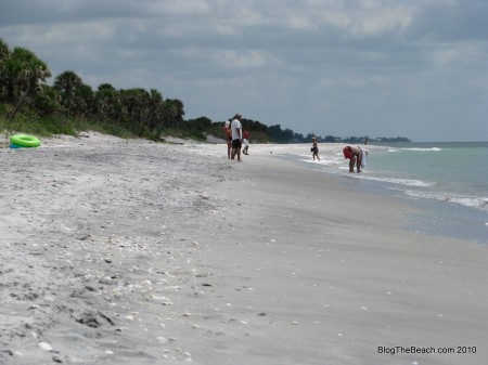 IMG_9024 image: caspersen beach, venice, fl