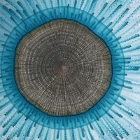 image: Blue button close-up.