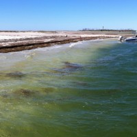 Anclote Key, Florida
