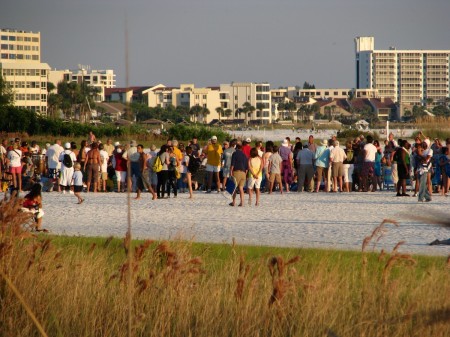 Siesta Key Beach drum circle