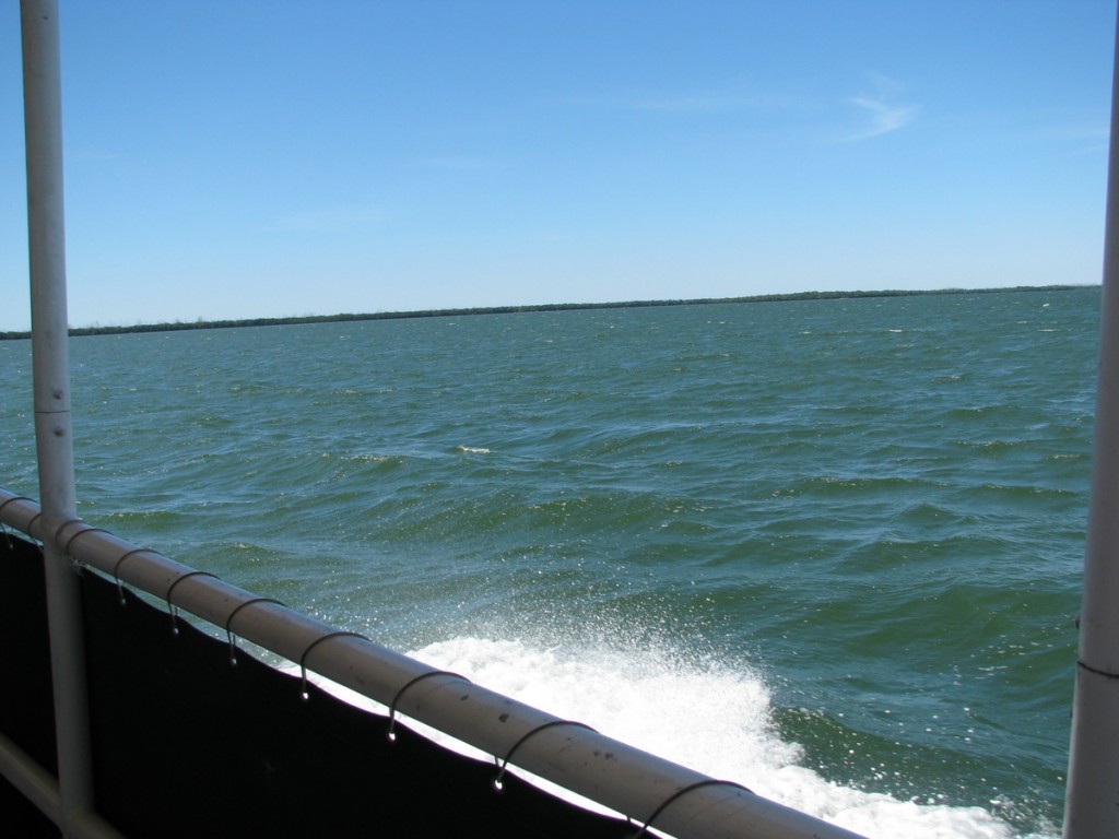 Trip to Anclote Key on the Island Star Blog The Beach