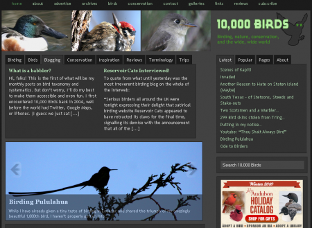 10,000 birds blog