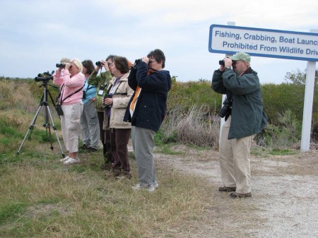 image: Space Coast Birding & Wildlife Festival participants watching waterbirds. image: Space Coast Birding & Wildlife Festival participants watching waterbirds.