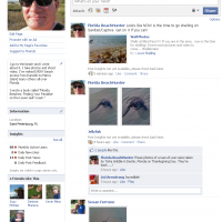 BeachHunter on Facebook