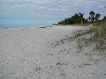 Captiva Beach, near Blind Pass. Looking north.