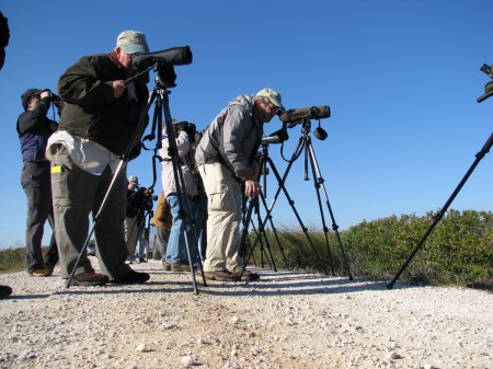 Birdwatchers in Merritt Island National Wildlife Refuge