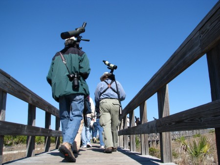 Birders on the boardwalk at Smyrna Dunes Park.