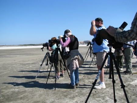 Birdwatchers on New Smyrna Beach.