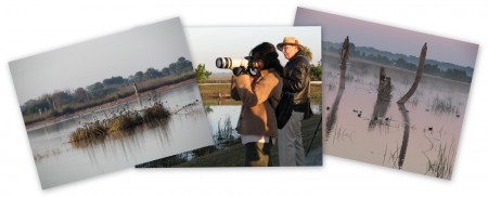 Ritch Grissom Memorial Wetlands at Viera