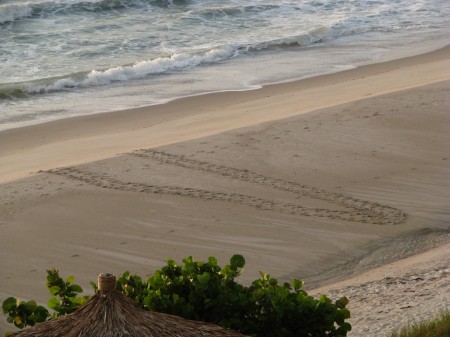 False crawl on Melbourne Beach, Florida. Sea turtle abandoned nesting attempt.