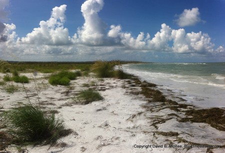 Caladesi Island Beach