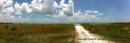 Honeymoon Island beach just south of Honeymoon Cafe. 