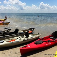 3 Hours, Nine Kayaks kayaks on Gandy beach, St. Petersburg, FL