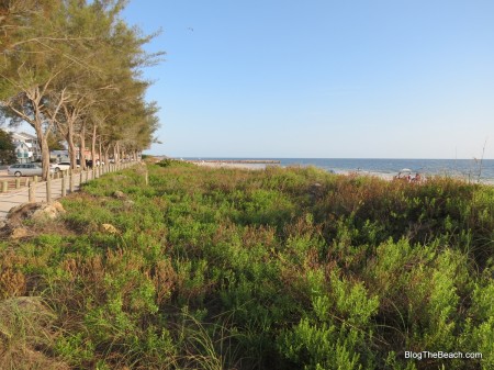 Upper beach, Cortez Beach, FL.