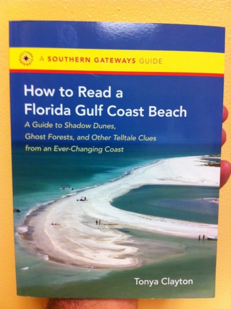 How to Read a Florida Gulf Coast Beach front cover