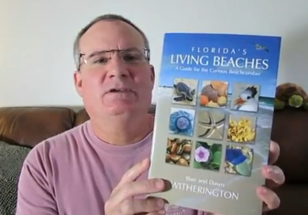 Beachhunter giveaway contest image