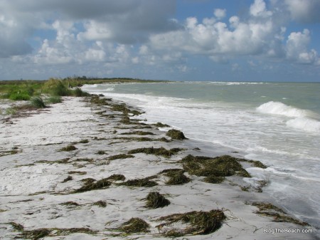 Northern Caladesi Island