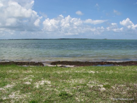 Looking toward Caladesi Island